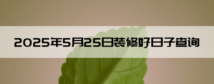 2025525װ޵