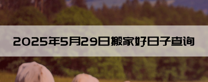 2025529ʺϰ
