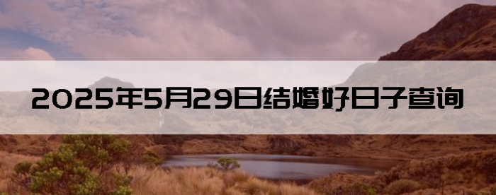 2025529ô