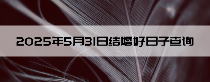 2025531ô