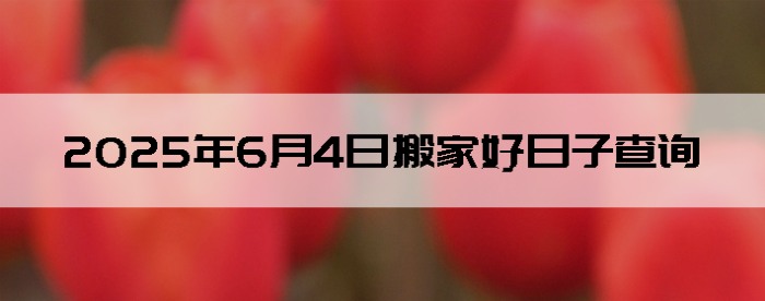 202564ʺϰ
