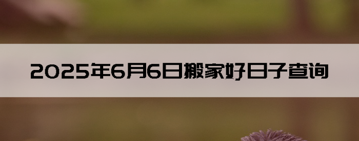 202566ô