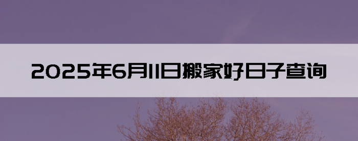 2025611հҺӲѯ