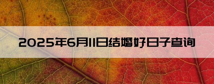 2025611ʺϽ