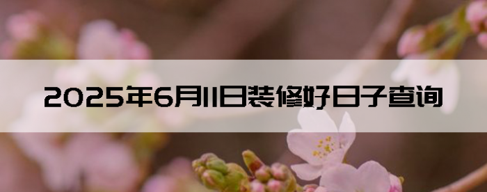 2025611װ޺Ӳѯ