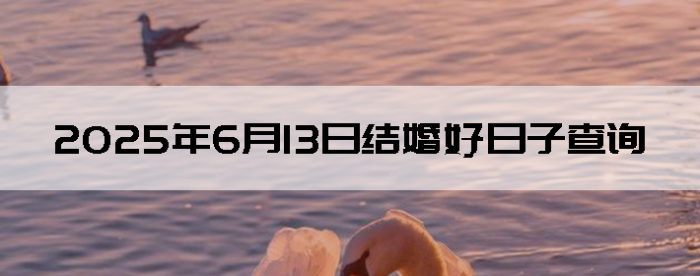 2025613ս鼪