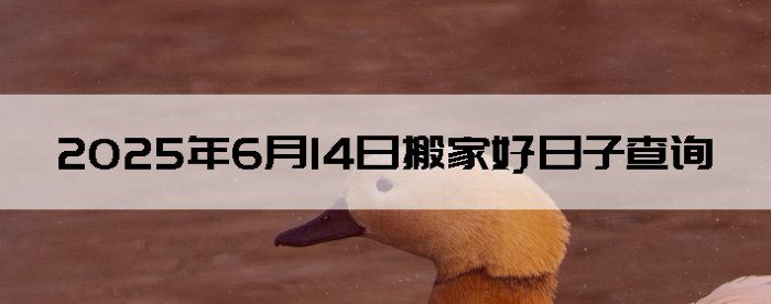 2025614ô