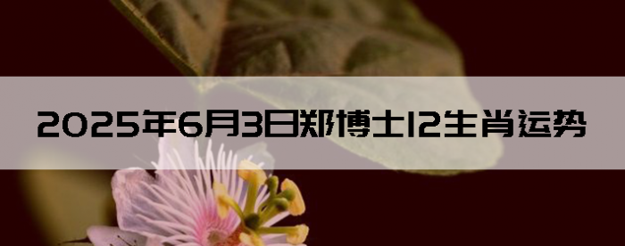202563֣ʿ12Ф