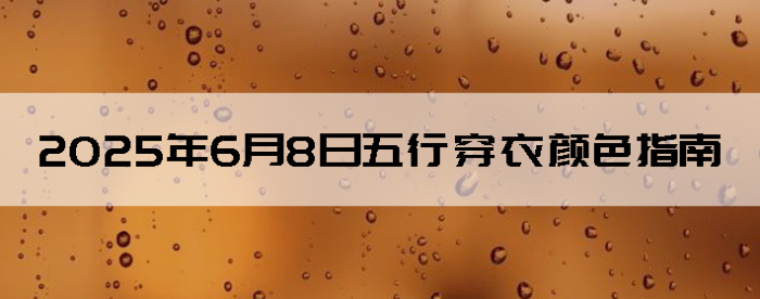 202567дɫָ