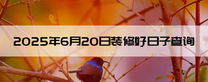 2025620ʺװ