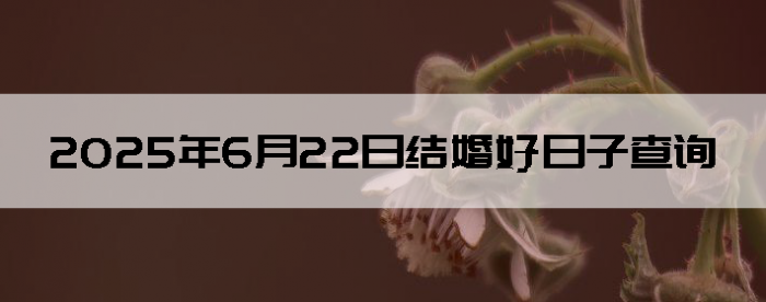 2025622ô