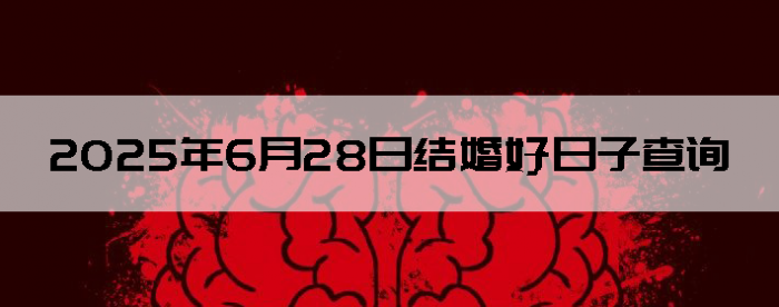 2025628ʺϽ