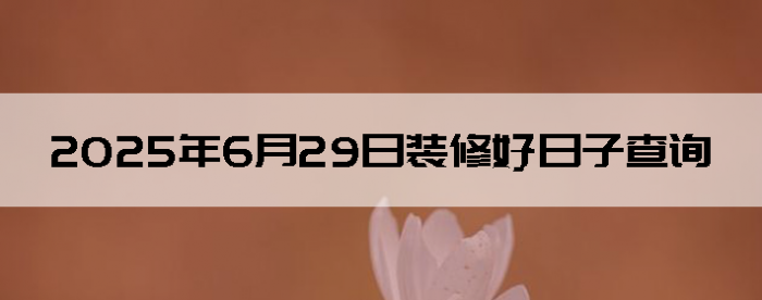 2025629װ޼