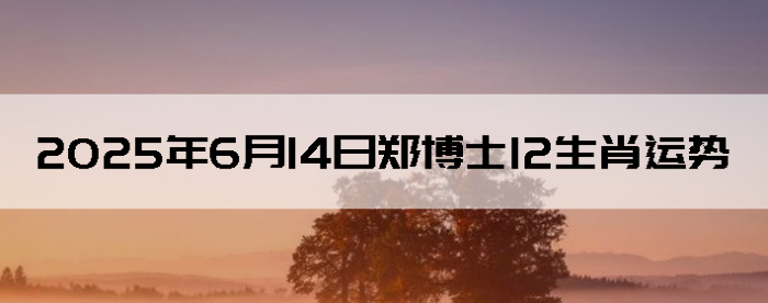2025614֣ʿ12Ф