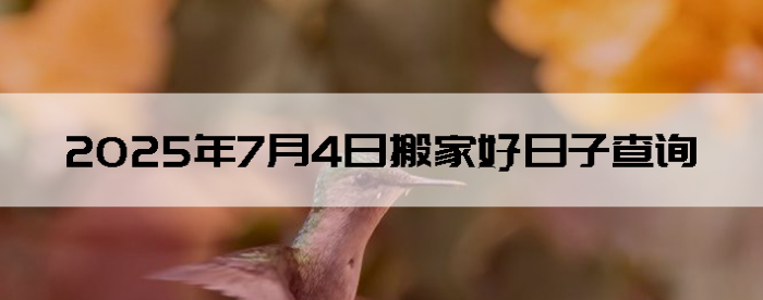 202574ʺϰ