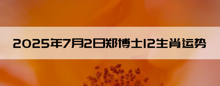 202572֣ʿ12Ф