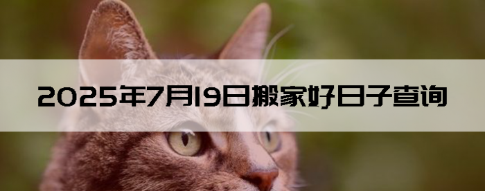 2025719ʺϰ