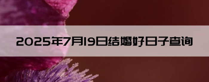 2025719ô