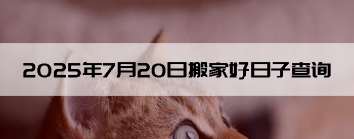 2025720ʺϰ