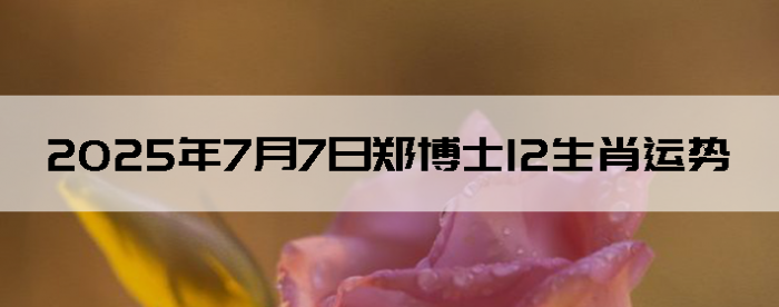 202577֣ʿ12Ф