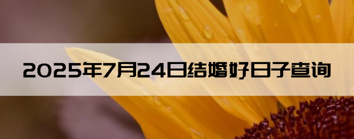 2025724ô