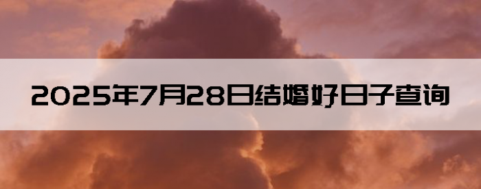 2025728ô