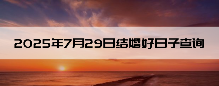 2025729ս鼪ղѯ