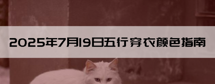 2025719дɫָ