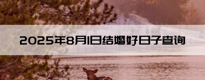 202581ô