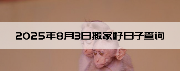 202583ʺϰ