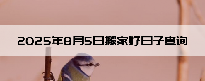 202585ʺϰ