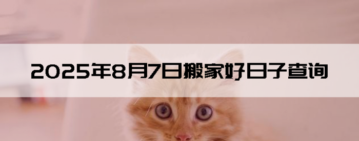 202587ʺϰ