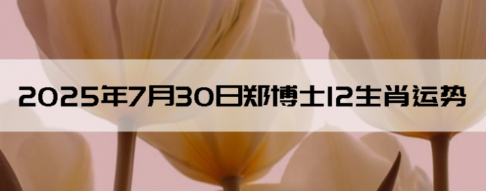 2025730֣ʿ12Ф