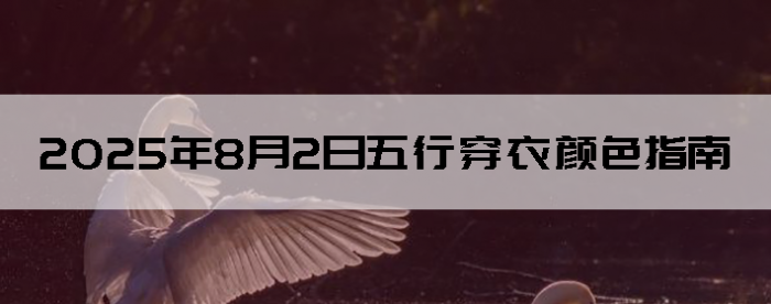 202582дɫָ