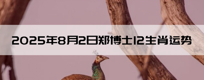 202582֣ʿ12Ф