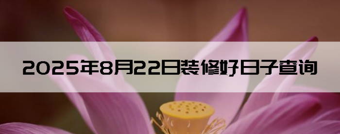 2025822ʺװ