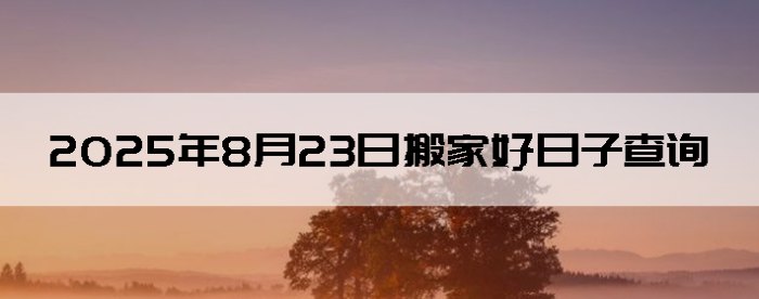 2025823ʺϰ