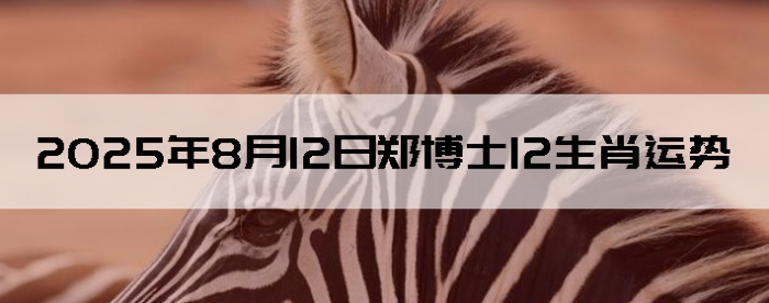 2025812֣ʿ12Ф