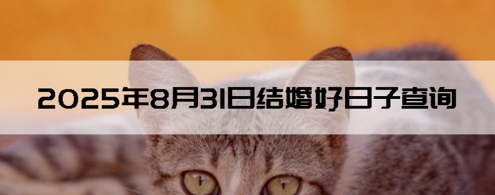 2025831ô