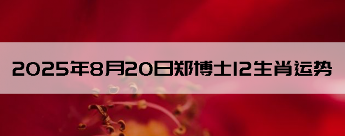 2025820֣ʿ12Ф