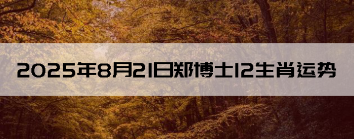 2025821֣ʿ12Ф