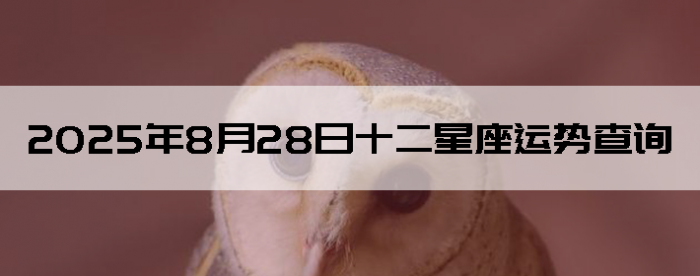 2025828ʮƲѯ