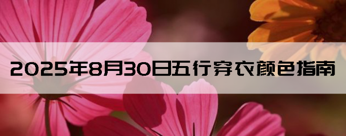 2025830дɫָ