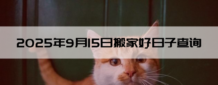 2025915ʺϰ