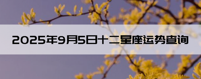 202595ʮƲѯ