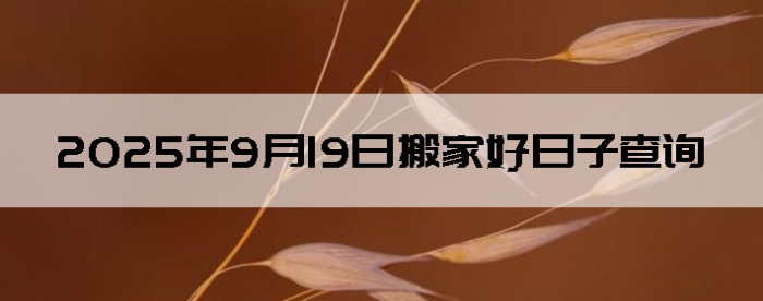 2025919հҺӲѯ