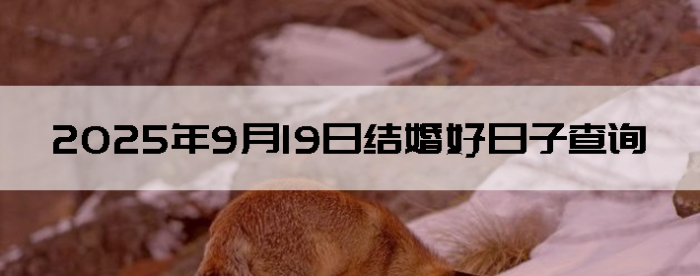 2025919ʺϽ