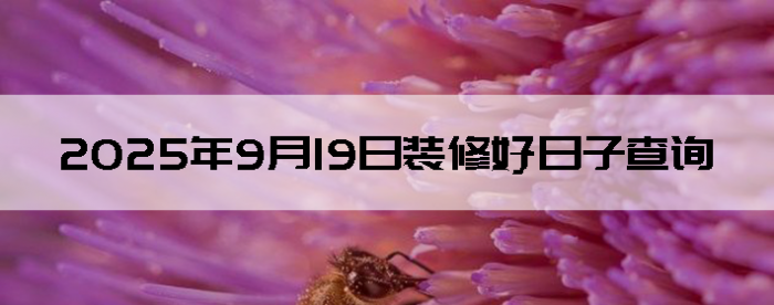2025919װ޺Ӳѯ