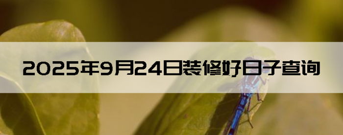 2025924װ޺Ӳѯ