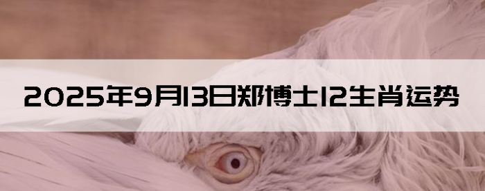 2025913֣ʿ12Ф